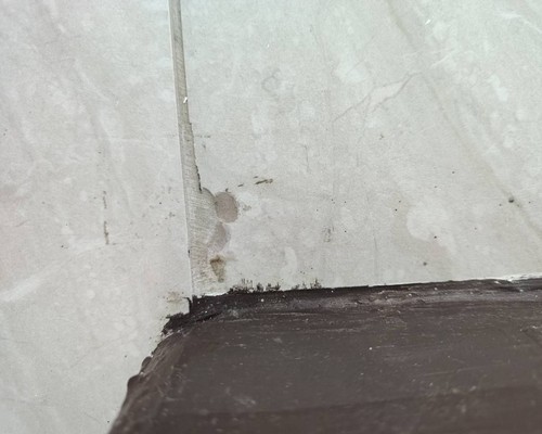 �����Ͽj½�s½��;, �����Ͽj�׸ɤu�{, �����Ͽj�׸ɬ��e, 
								�����Ͽj�}��, �����Ͽj�״_, �����a�j�z���׸�, �����D�ǺϿj�׸�, ��������Ͽj�׸�, ��������Ͽj���}